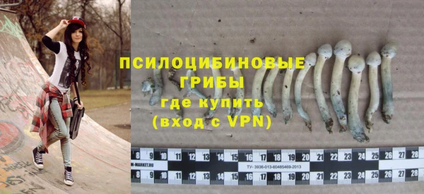 apvp Балабаново