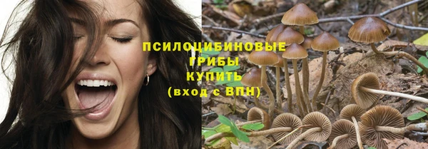 ешки Балахна