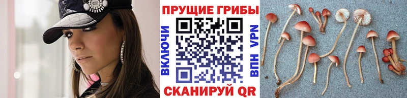 Галлюциногенные грибы MAGIC MUSHROOMS  Ликино-Дулёво 